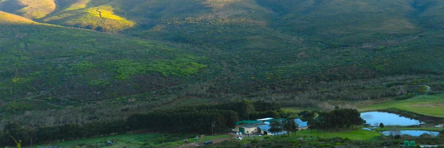 Die plaas, Flower Valley van Flower Valley Conservation Trust wat vanjaar hulle 15de verjaardag herdenk